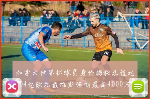 加拿大世界杯球员身价揭秘总值达204亿欧元戴维斯领衔最高4000万欧